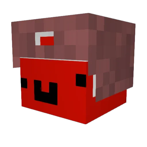 iDrinkCookiesYT Minecraft avatar head, 3D render