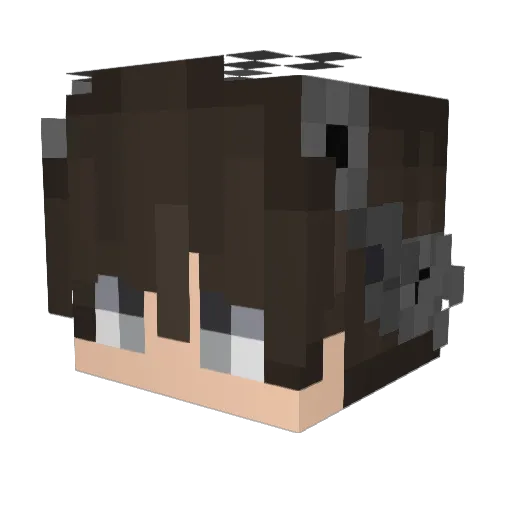 iEatRice_PvP Minecraft avatar head, 3D render