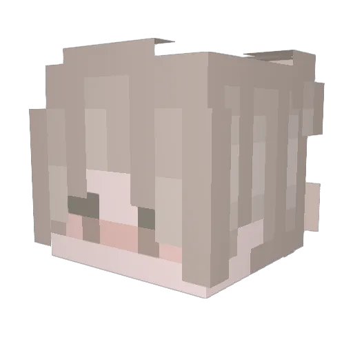 iExtinN Minecraft avatar head, 3D render