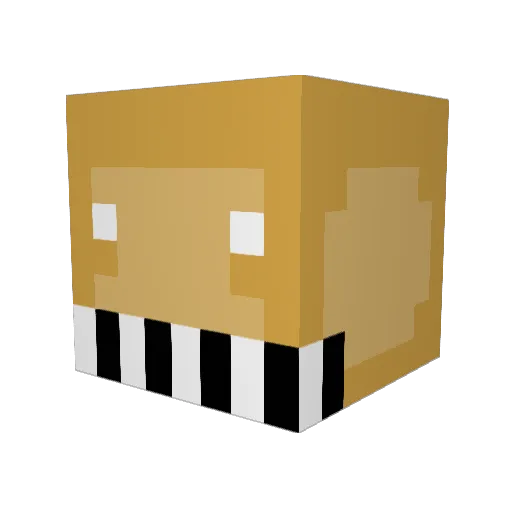 iFARTFARTS Minecraft avatar head, 3D render