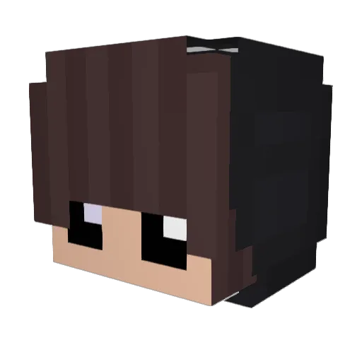 iFSD8xHD Minecraft avatar head, 3D render
