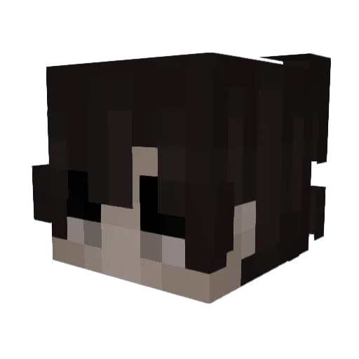 iFile_ Minecraft avatar head, 3D render