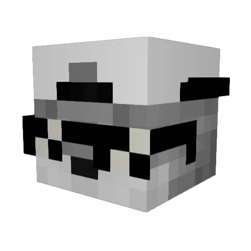 iFowtyRod Minecraft avatar head, 3D render