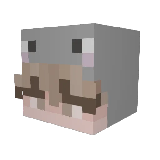 iFrancs Minecraft avatar head, 3D render