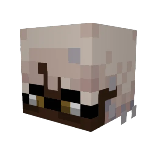 iFreyr_ Minecraft avatar head, 3D render