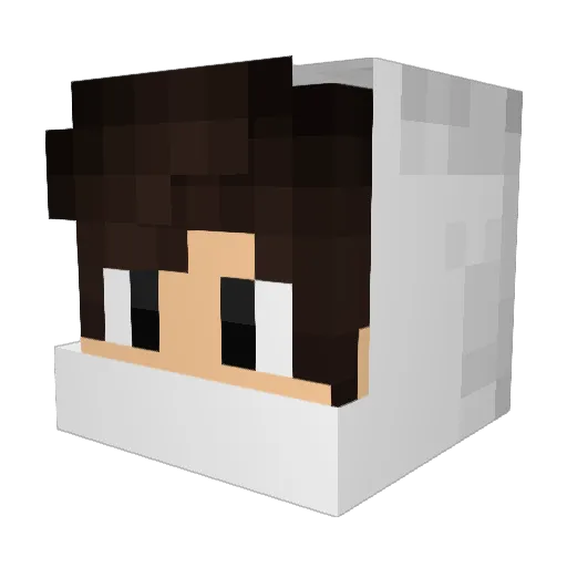 iFrowzHD Minecraft avatar head, 3D render