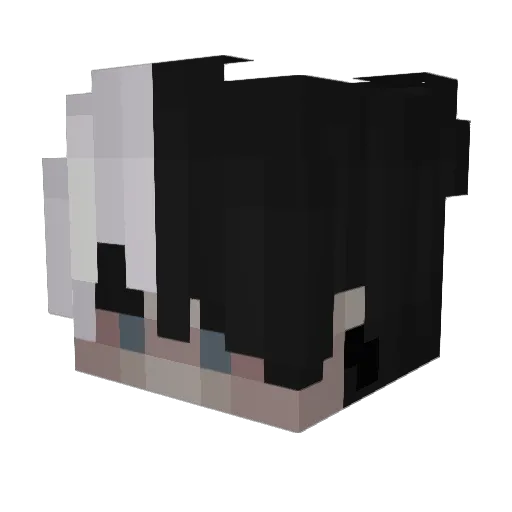 iFx_Leo Minecraft avatar head, 3D render