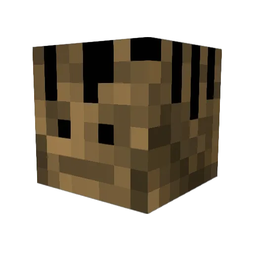 iGQKU Minecraft avatar head, 3D render