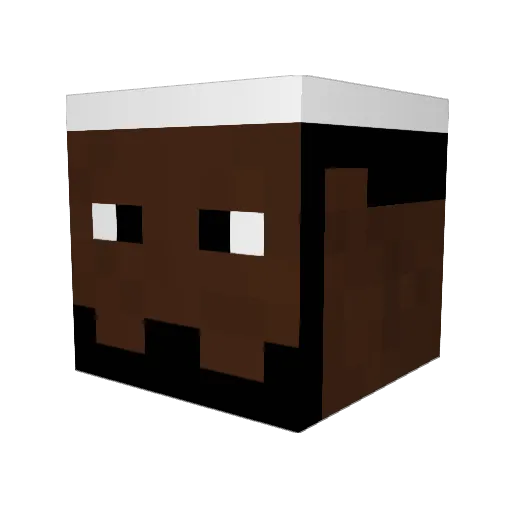iGamer419 Minecraft avatar head, 3D render