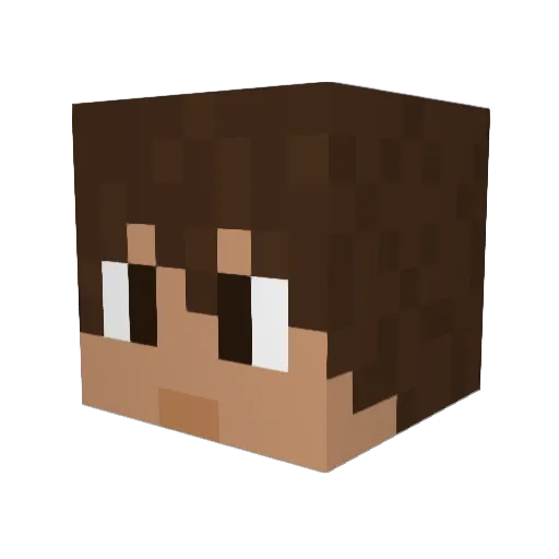 iGoogleYou Minecraft avatar head, 3D render