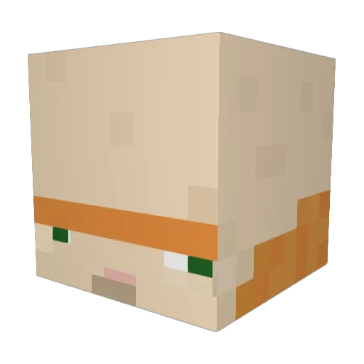 iGotMoney Minecraft avatar head, 3D render