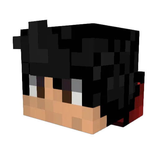 iH8Gays Minecraft avatar head, 3D render