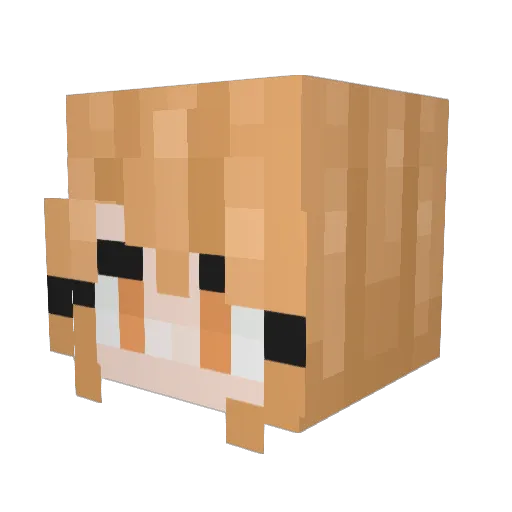 iHaleigh Minecraft avatar head, 3D render