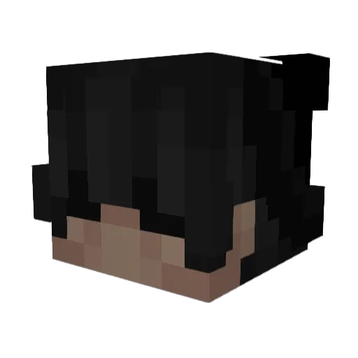 iHaveMacros Minecraft avatar head, 3D render