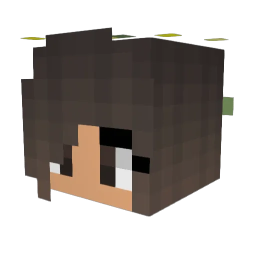 iHk_NaDie Minecraft avatar head, 3D render