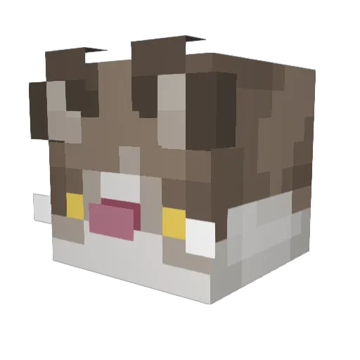 iJaxon Minecraft avatar head, 3D render