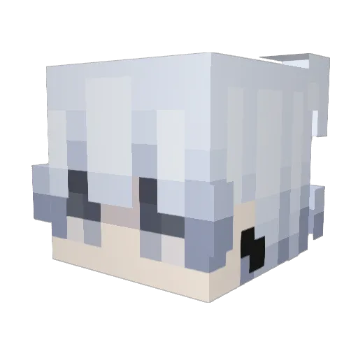 iJxn_ Minecraft avatar head, 3D render