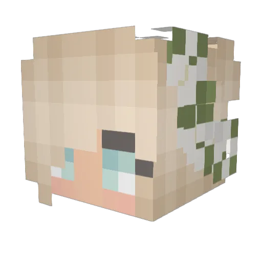 iKaylee0 Minecraft avatar head, 3D render
