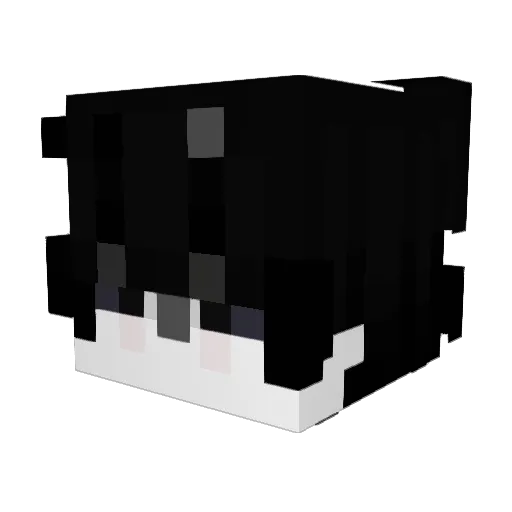 iKnightGG Minecraft avatar head, 3D render
