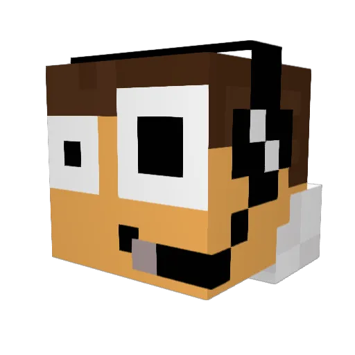 iKoozie Minecraft avatar head, 3D render