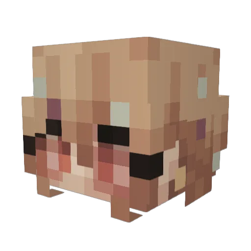 iKoty Minecraft avatar head, 3D render