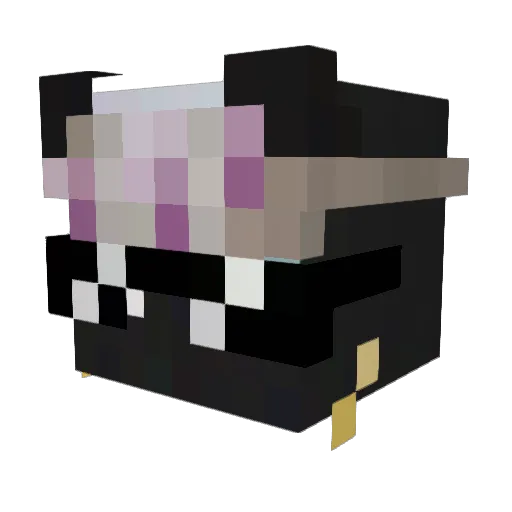 iLaiShane Minecraft avatar head, 3D render