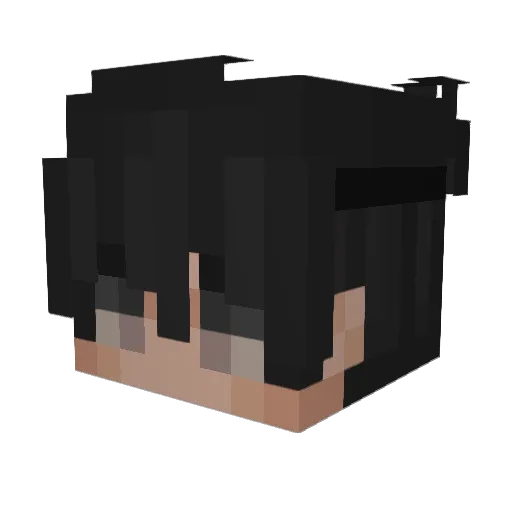 iLaxeer_ Minecraft avatar head, 3D render