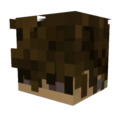 iLea9 Minecraft avatar head, 3D render