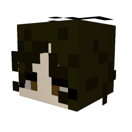 iLeanne843 Minecraft avatar head, 3D render
