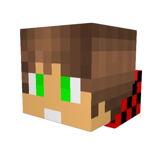 iLeo017 Minecraft avatar head, 3D render