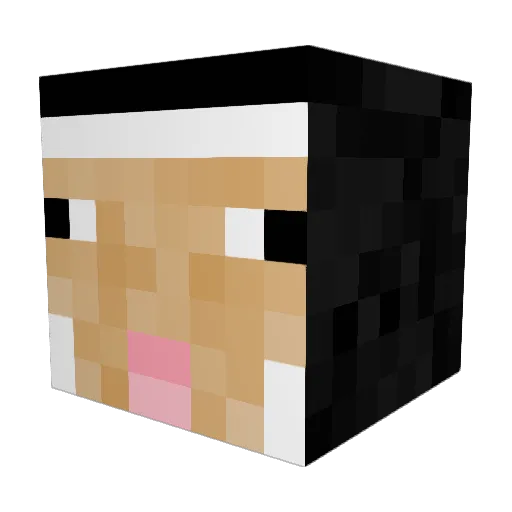 iLiKeNeWdLe16 Minecraft avatar head, 3D render
