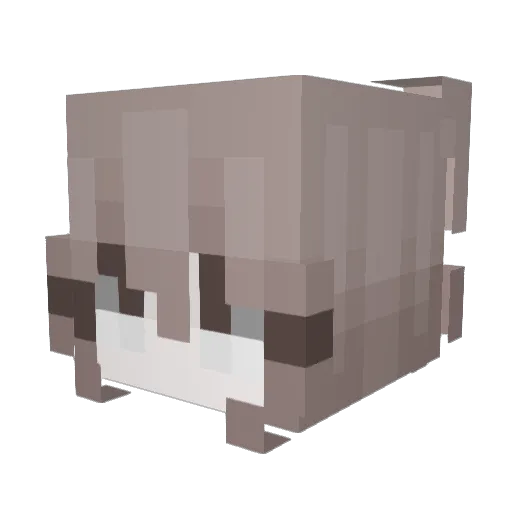 iLinaa_ Minecraft avatar head, 3D render