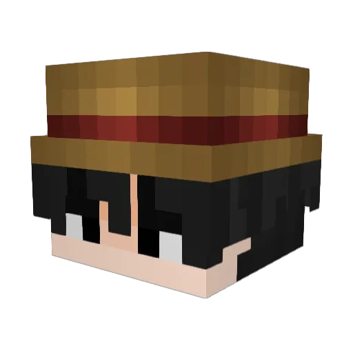 iLinexs_TN Minecraft avatar head, 3D render