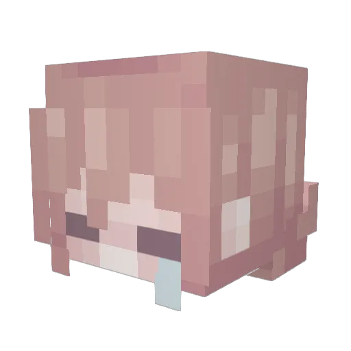 iLittleLoLo Minecraft avatar head, 3D render