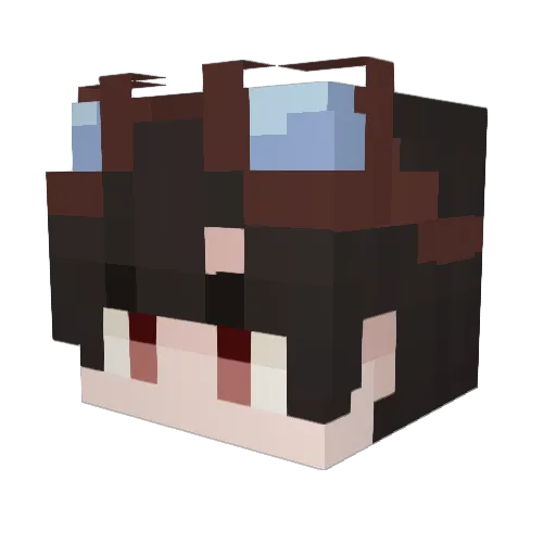iLostTn Minecraft avatar head, 3D render