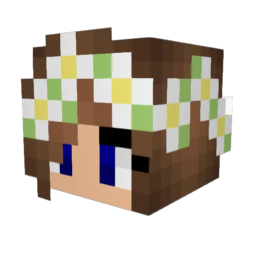 iLovePugsNotFece Minecraft avatar head, 3D render