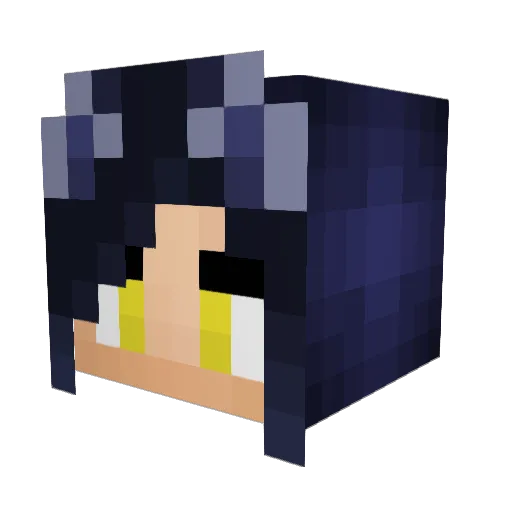 iLoveYouoDylan Minecraft avatar head, 3D render
