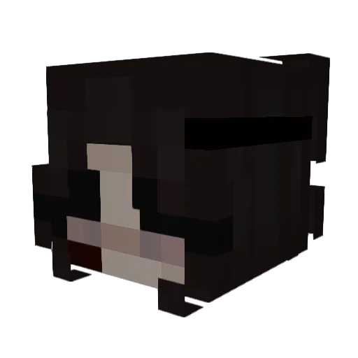 iLucia50 Minecraft avatar head, 3D render