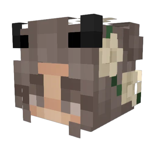 iLynx__ Minecraft avatar head, 3D render