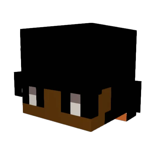 iMSLEEp44 Minecraft avatar head, 3D render