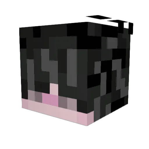 iMaxitoRN Minecraft avatar head, 3D render