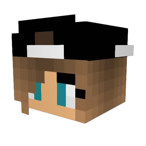 iMonsterPlayz Minecraft avatar head, 3D render