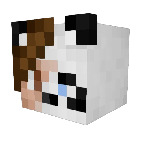 iMyzll Minecraft avatar head, 3D render