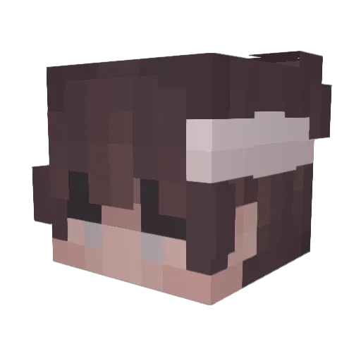 iNEEDFrootLOOPS Minecraft avatar head, 3D render