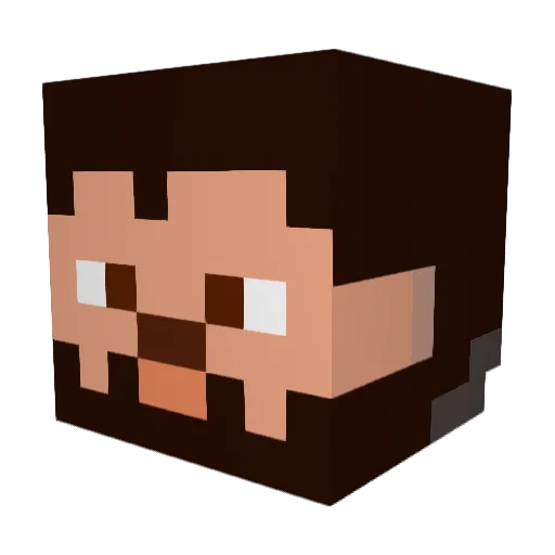 iNSErtRefEreNCE1 Minecraft avatar head, 3D render
