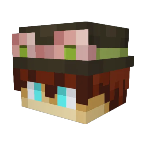 iNSaNiTeaR Minecraft avatar head, 3D render