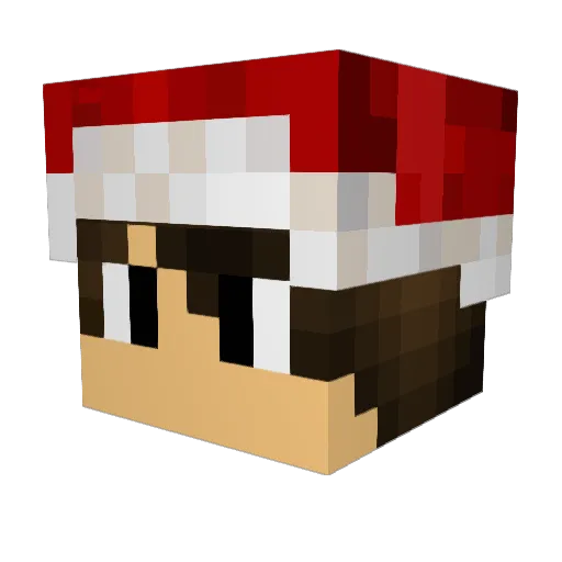 iNachoVape Minecraft avatar head, 3D render