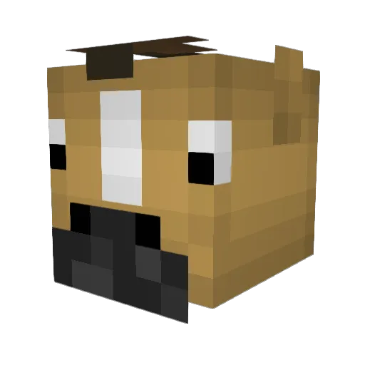 iNardinho Minecraft avatar head, 3D render