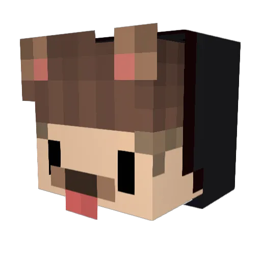 iNeedCookiees Minecraft avatar head, 3D render