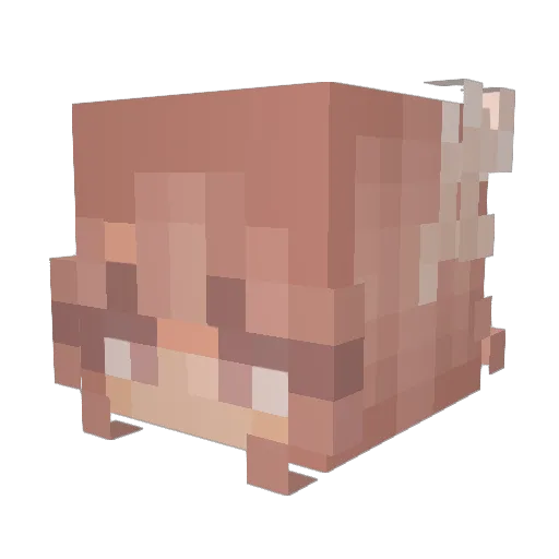 iNelia Minecraft avatar head, 3D render